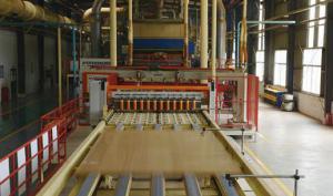 China Rice Straw Particle Board Production Line High Productivity Panel 2440 x 1220 MM on sale
