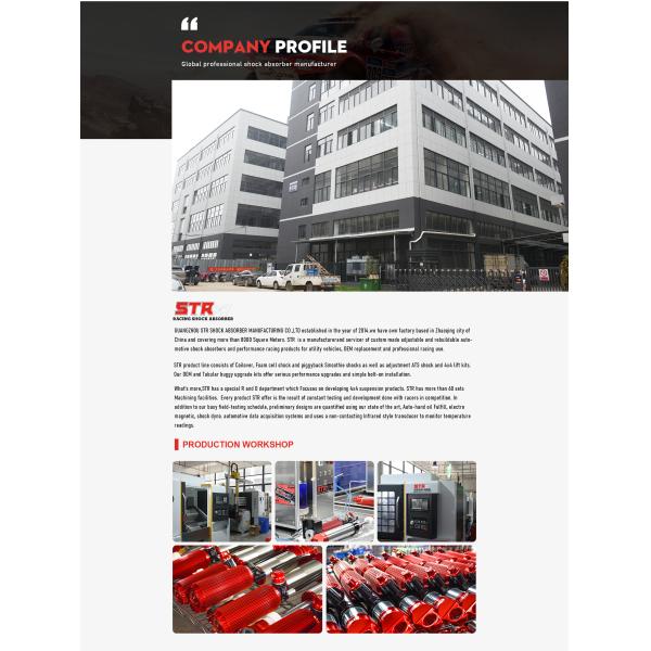 TOYOTA Sequoia Shock Absorber - Close-up Detail