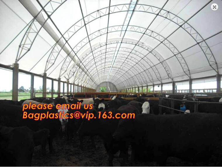 Green Construction Building Scaffolding Safety Net /Safety Mesh Netting,construction scaffold net/scaffolding net/scaffo