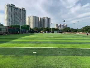 China Artificial Grass Custom Football Outdoor Sports Football Soccer Grass 60mm on sale