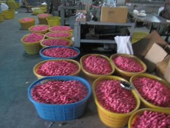 China Kids Eraser Factory - China Eraser Supplier
