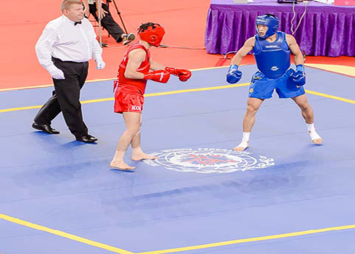 Durable Wushu Platform Gymnastics Training Mats Competition Sanda Mat
