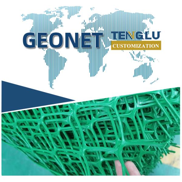 Roadbed and Tunnel Engineering Green HDPE Geonet with Anti-Ultraviolet Protection