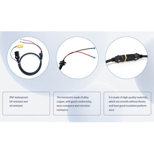Customizable Waterproof Low Voltage Electric Wire Harness Cable Assembly for Rail Transit
