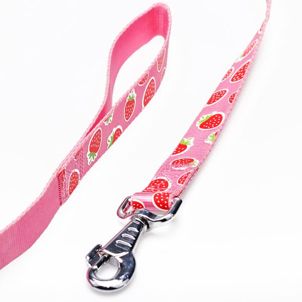 OEM training dog leash Silk Screen Pattern dog training lead