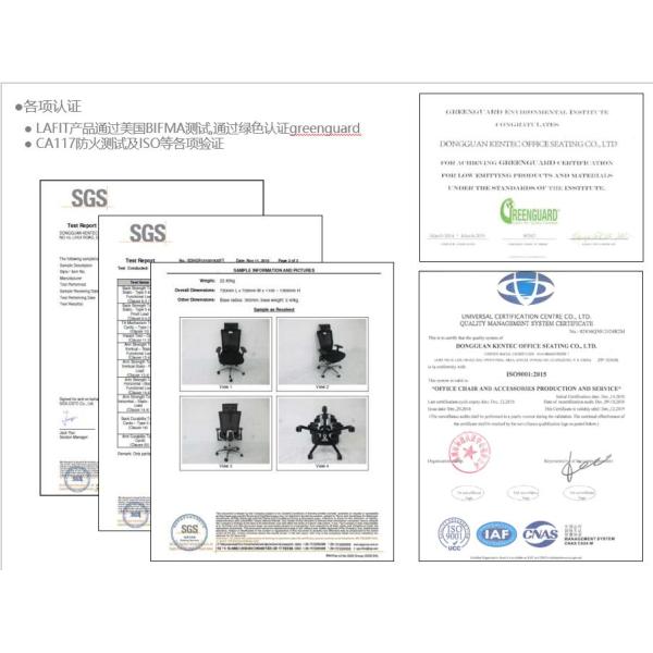 Modern Design Executive Mesh Chair with 3D Adjustable Swivel Headrest BIFMA Certified