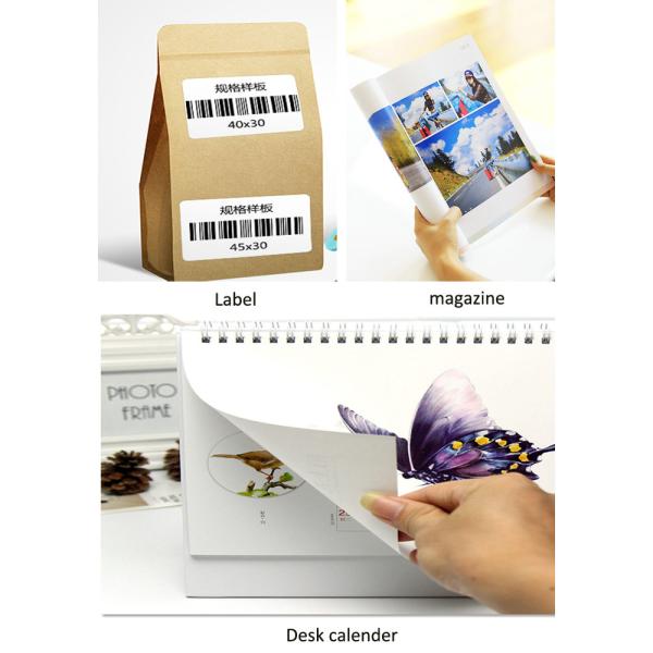  C2S Coated Art Paper Matt 150g 170g 180g High Glossy Label Paper Coils