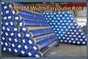 Quality 1M-3M Width  PVC Fabric PE Fabric PVC  Tarpaulin Fabric PE Tarpaulin Roll wholesale