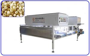 China 8 Channel Lotus Seed Sorting Machine 50Hz Artificial Intelligence Equipment on sale