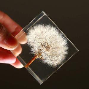 Quality Custom cheap paper weight resin paperweight block Resin cubic paper weight with Dandelion artificial flower inside paperweight wholesale