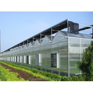 Vegetable Fruits And Flowers Multi Span Agricultural Greenhouse With Tempered