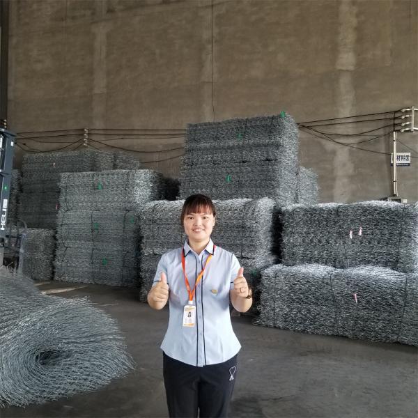 80x100mm Low Carbon Steel Zinc Plated Wire Mesh Gabion Basket 2x1x1 Size Ring Connect Fence
