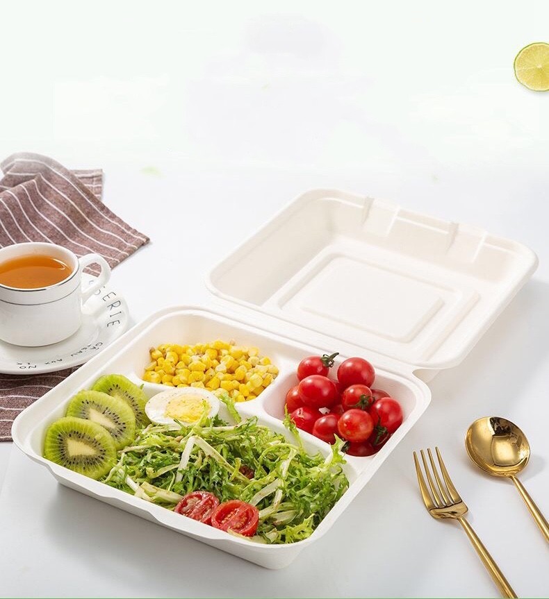 Biodegradable Bagasse Sugarcane Clamshell Food Container 3 Compartment Disposable
