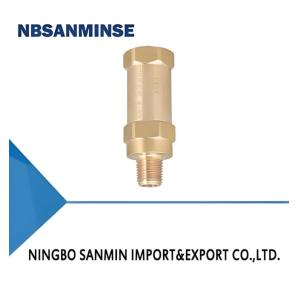 Quality DA-08F V Cryogenic Safety Valve Iron 35bar wholesale