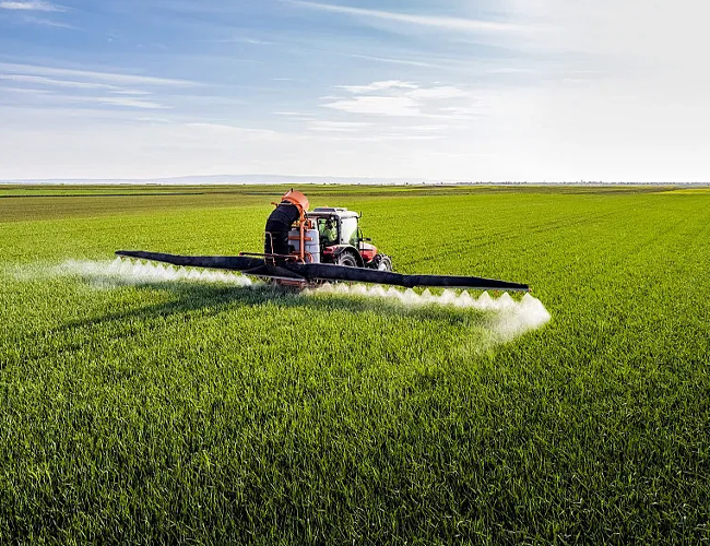 Balanced NPK Fertilizer Strong Growth High Yield Support