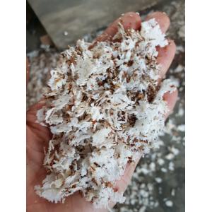 High Capacity Semi-automatic Coconut Peeling Machine Function Peeling Coconut