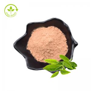China 100% Natural Instant Tea Extract Powder Green Tea Extract Black Tea Extract White Tea Extract on sale
