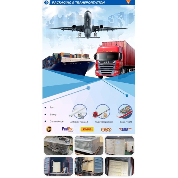Automotive Training Equipment Diesel Engine Training Board for and Fault Diagnosis