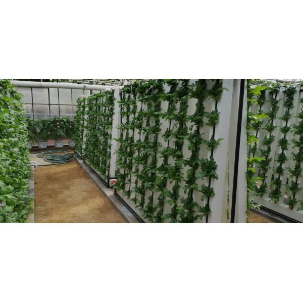 Indoor Hydroponic Growing Systems Home Zip Vertical Hydroponic System
