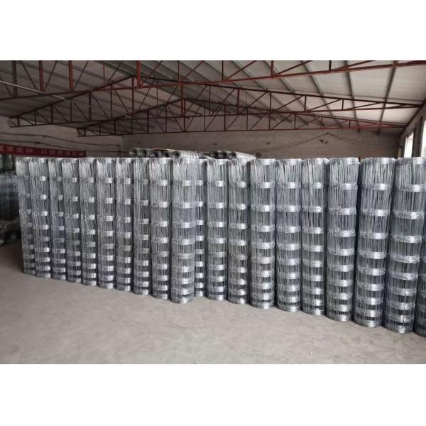 Heavily Wire Mesh Fencing Hot Dip Galvanized Steel Field Fencing