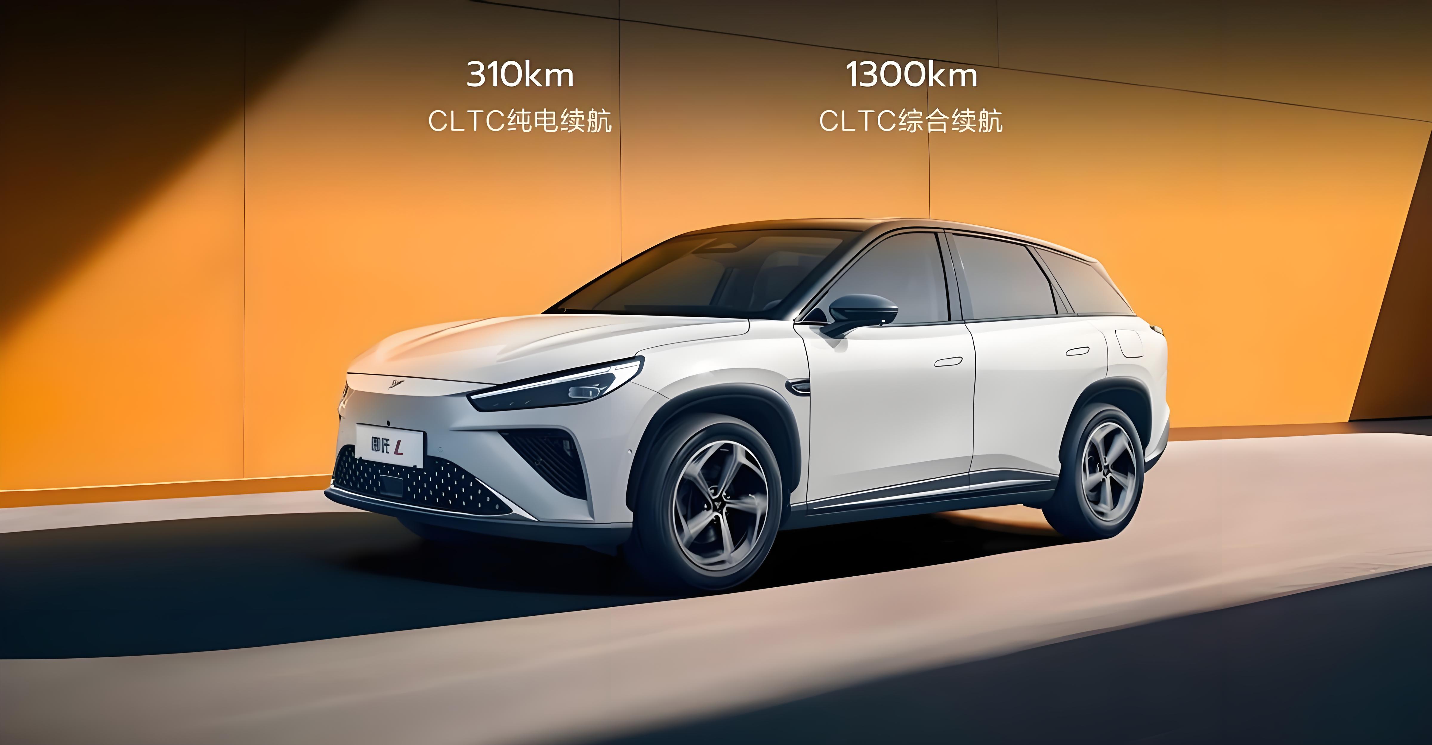2024 510km NETA L New SUV Electric Vehicle Pure Electric Motor Power Neta L Luxury High Speed Sports Ev Cars
