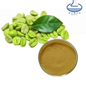 China Bulk Green Coffee Bean Extract Powder 10/1-50/1 Food Grade on sale