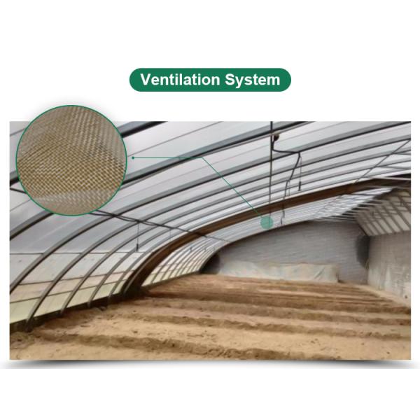 Environmentally Friendly Solar Agricultural Greenhouse with Greenhouse Benches