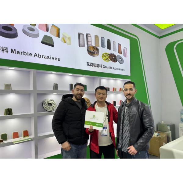 Granite Grinding And Polishing Resin Disc D200mm D250mm