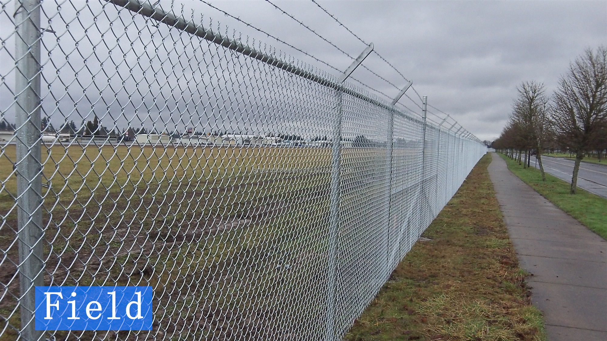 Easily Assembled High Security Anti Climb Airport Fence/358 Fence with and PVC Coating