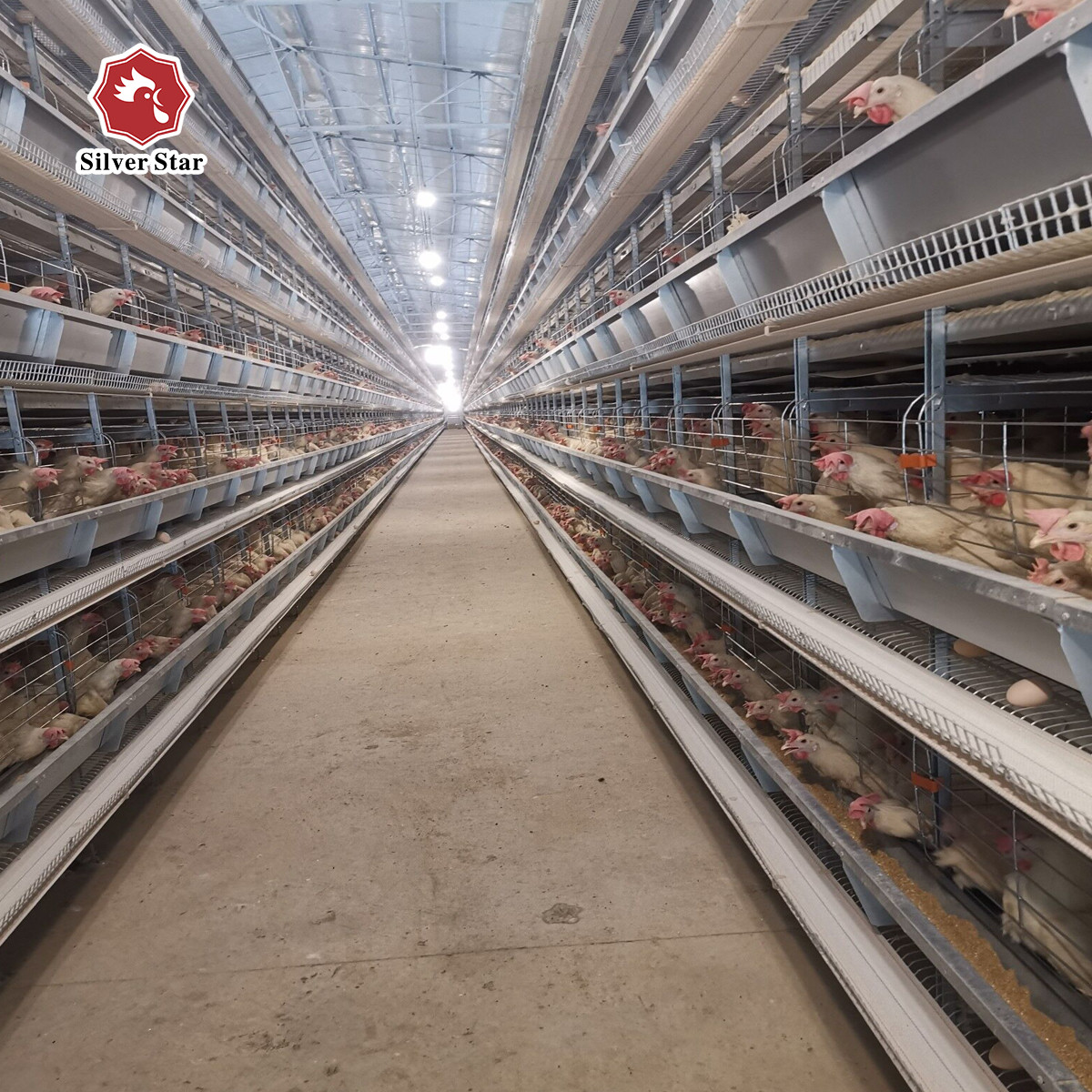 Electric Galvanized 5 Tiers 90 Birds Battery Chicken Cage Newest Design