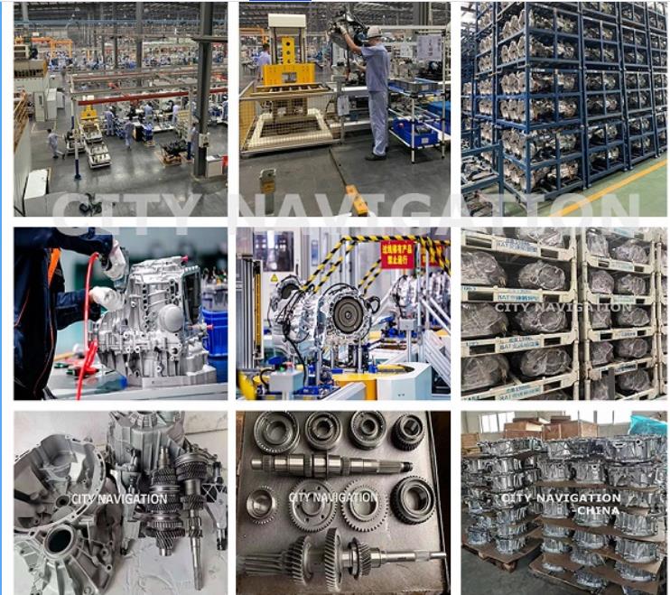37*24*25 Size Differential H6 for BAIC Yinxiang and Competitive