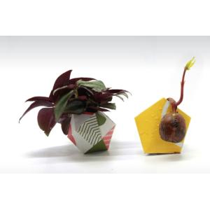 Tear Resistant Folding Paper Packaging Calcium Carbonate 80% Wood Free