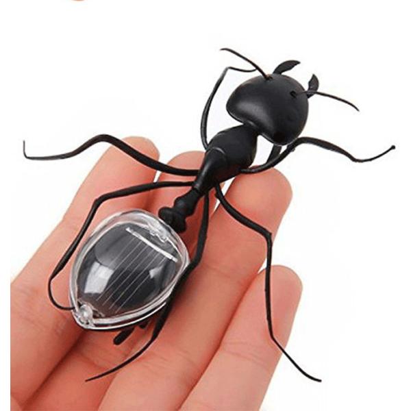 Black Solar Powered Ant Small Solar Toys Early Learning Educational Toy