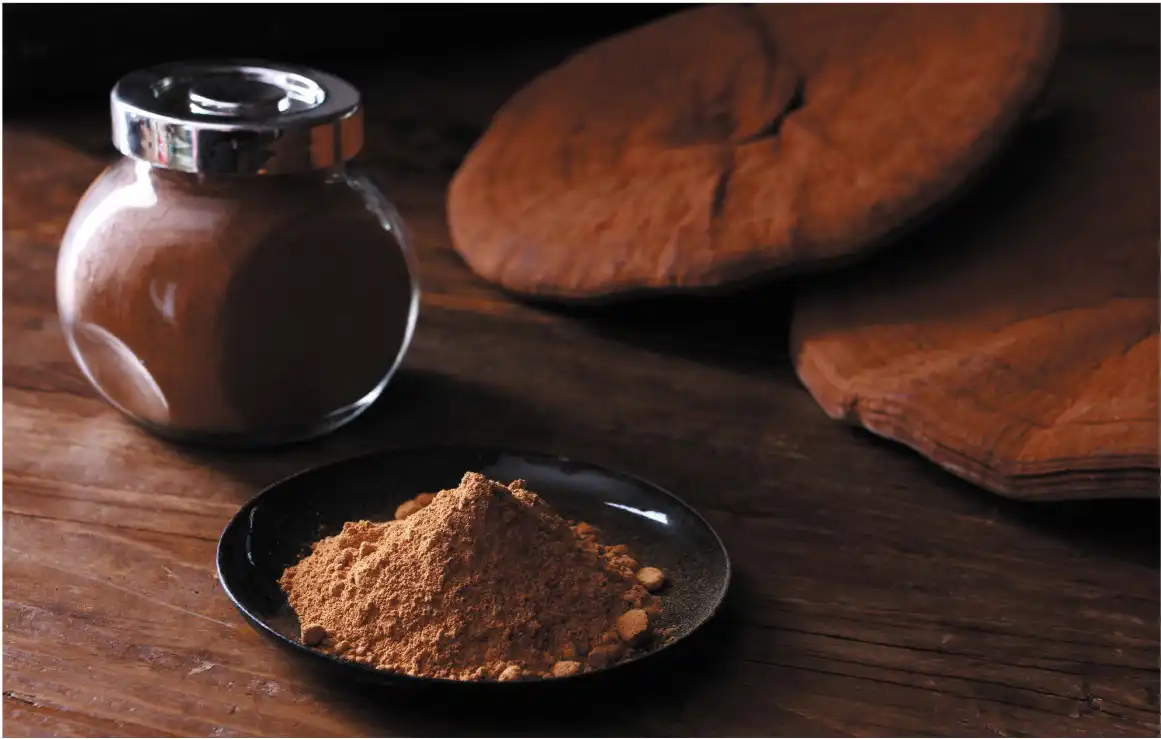 Ganoderma Lucidum Spore Powder