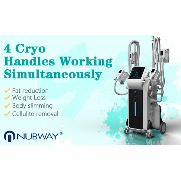 Cryolipolysis body slimming machine with 4 cryo handles / 4 cryo handles can work simultaneously