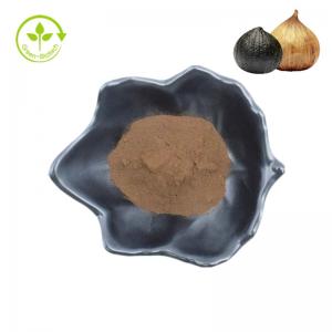 China Health Product Organic Powder 1% S-Allyl-L-Cysteine SAC Black Garlic Extract on sale