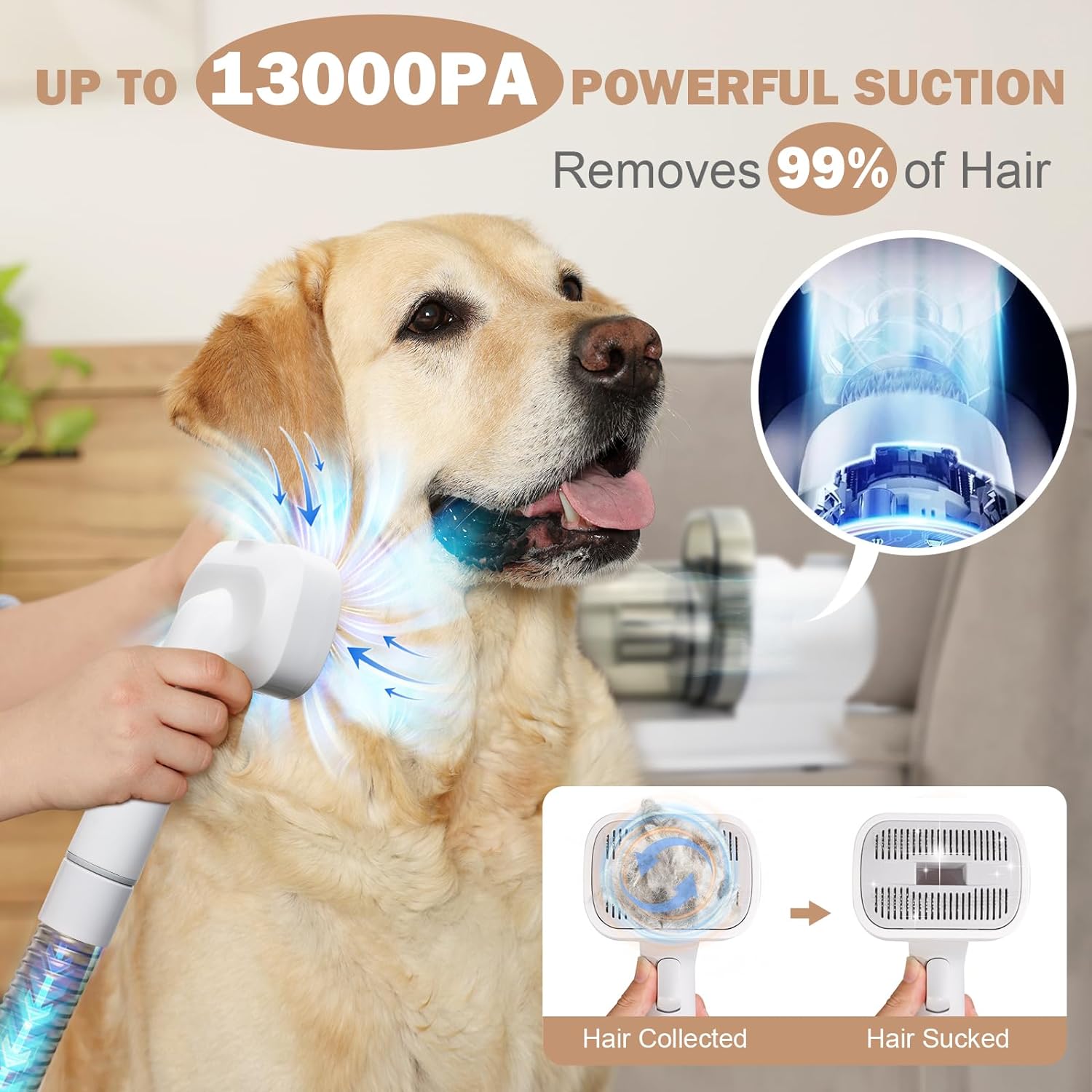 65dB Noise Pet Grooming Kit with Electric Pet Hair Vacuum Clipper Cleaner at 110-220V