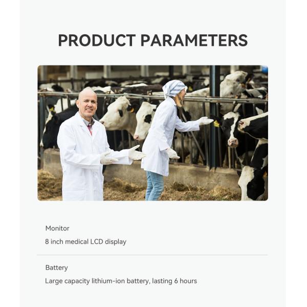 Yonker Hot Sale Ultrasound Machine Farm Use Vet Ultrasound Machine Portable Vet Veterinary Ultrasound Equipment