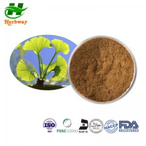 Quality CAS 90045-36-6 Ginkgo Biloba Leaf Extract Powder 24% Ginkgo-Flavone Glycosides wholesale