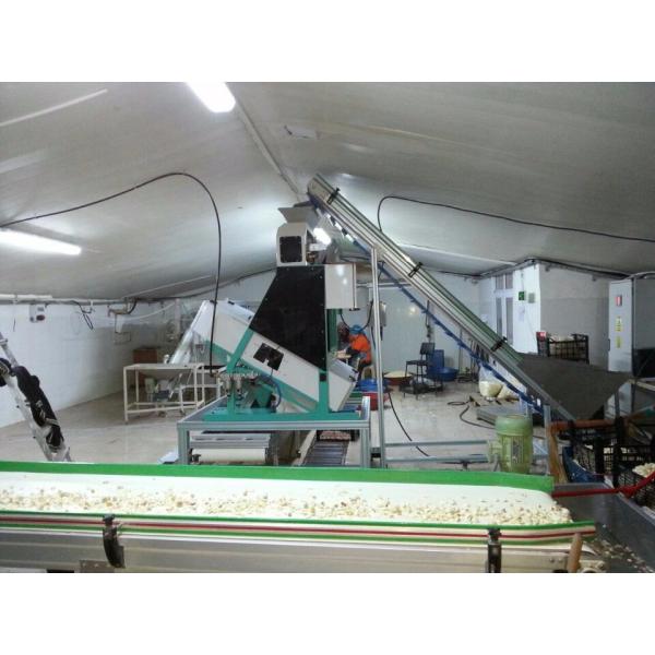 2 Channels High Accuracy Peach Gum Grain Color Separator Arabic Olibanum Gum Color Sorting Machine