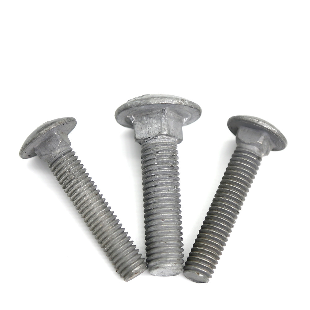 Quality Grade 10.9 Hot Dipped Galvanized Carriage Bolt M10 wholesale