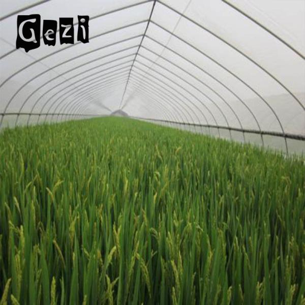 Cheap 60 Mesh Insect Mesh Netting 1.3 * 1.3mm Water Resistance For Blocking Light for sale