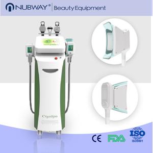 Quality fat freezing machine / cryolipolysis slimming machine / 5 handles cryolipolysis machine wholesale