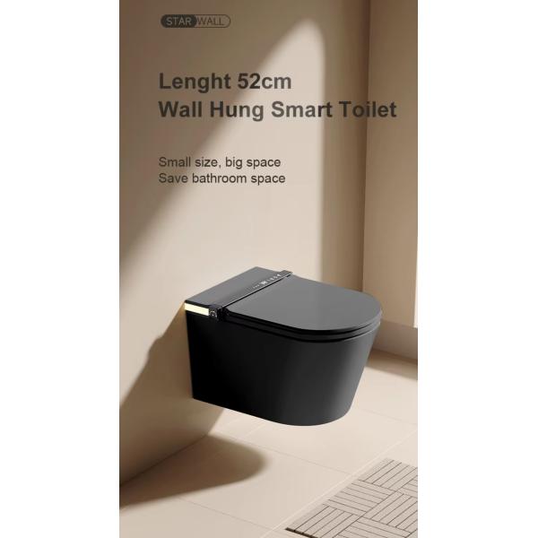 Wall Hung Bathroom Sanitary Ware Washdown Floating Toliet Bowl Closestool
