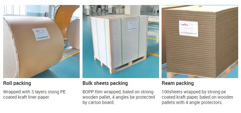 Digital Printing Paper Carbonless Copy Paper For Customized Printing Needs