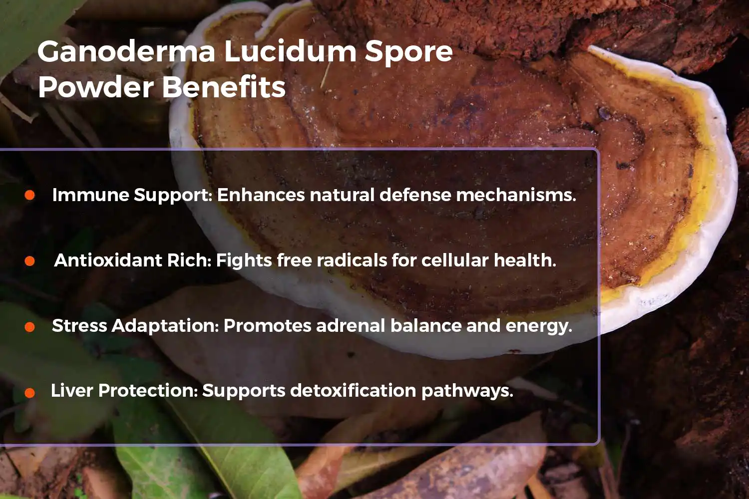 Key Benefits of Ganoderma Lucidum Spore Powder