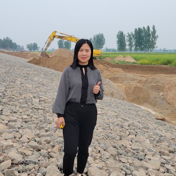 Hot Dipped Galvanized Gabion Basket Wire Mesh Gabion Mattress for River Channel Protection