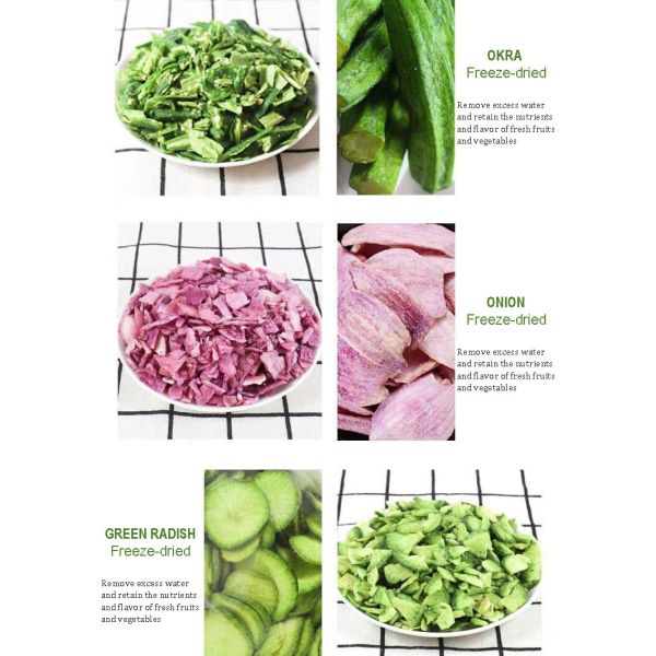 5m² Freeze Drying machine Jujube Freeze Dried Processing Equipment