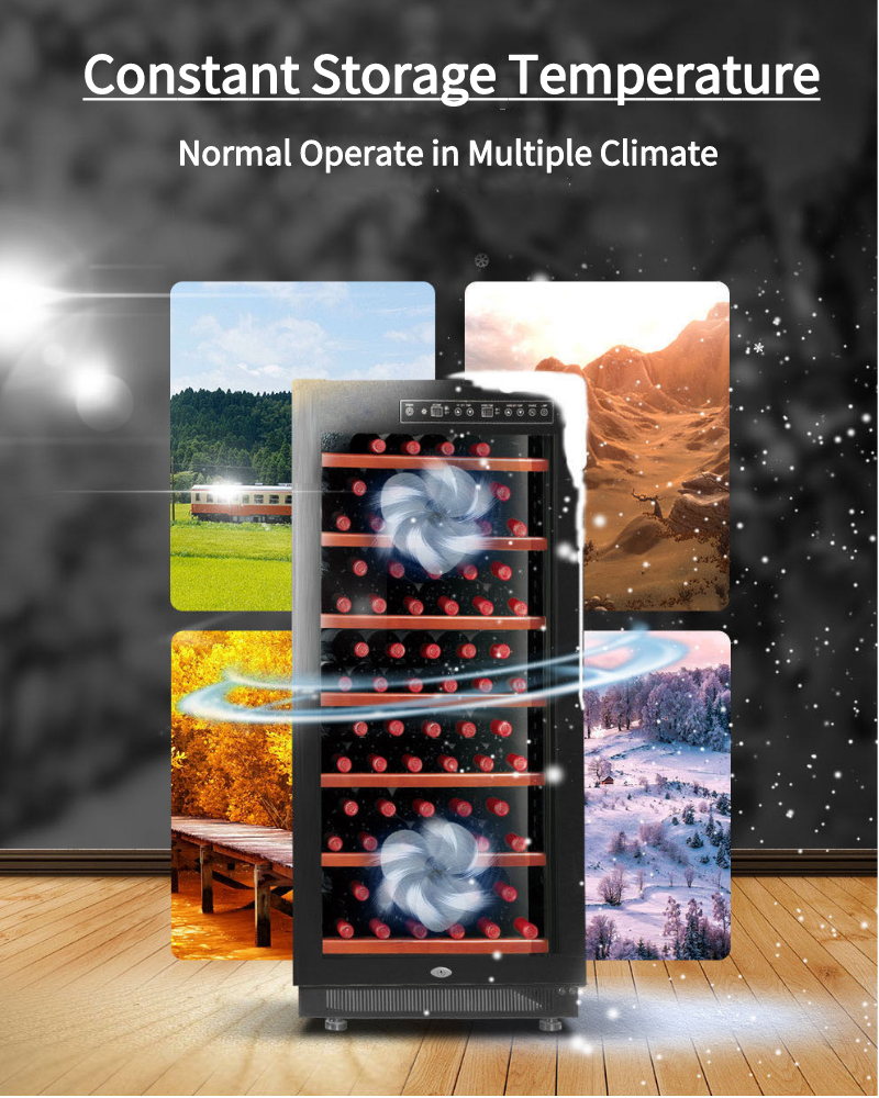 Elegant Upright Thermoelectric Wine Cooler Fridge Practical 90 Bottle