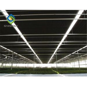 Quality Auto Blackout Light Deprivation Galvanized Steel Greenhouse Easy To Assemble wholesale